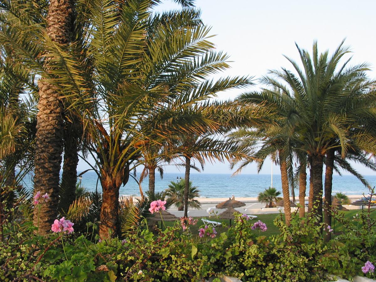 El Hana Residence