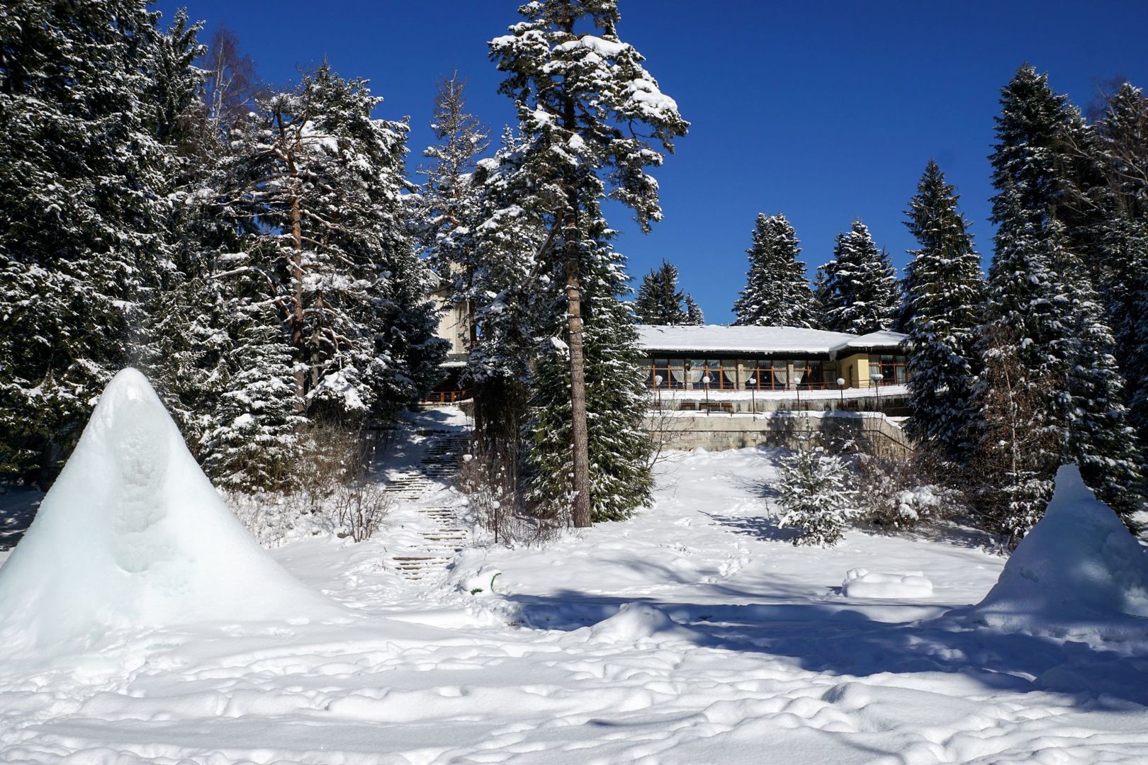 Hotel Bor