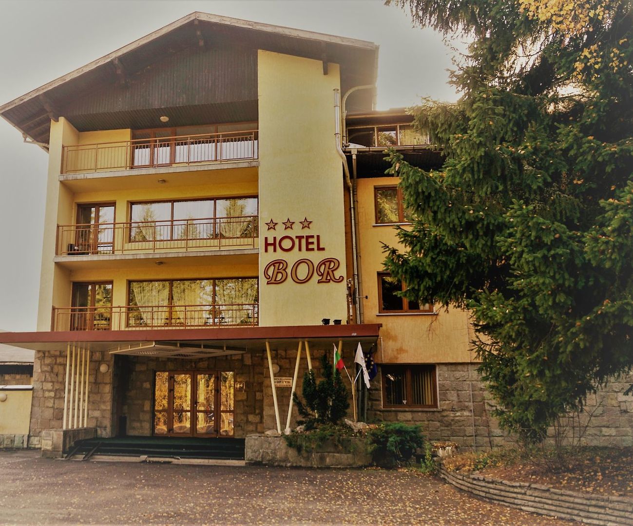 Hotel Bor