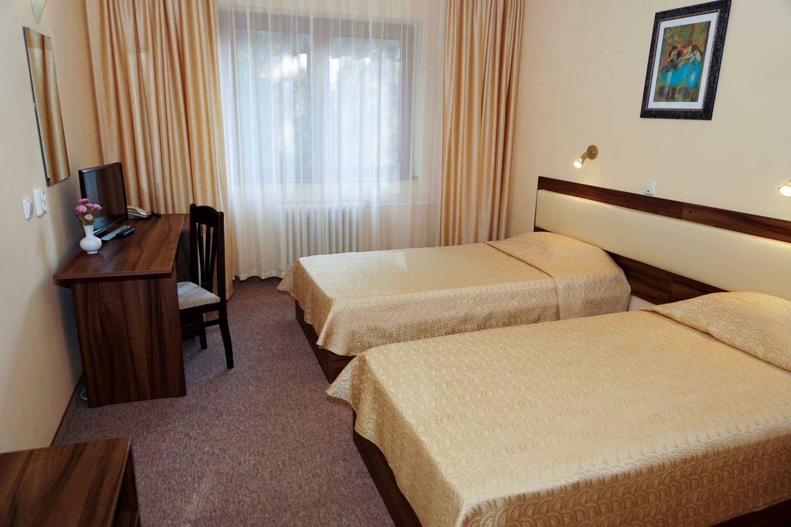 Hotel Bor