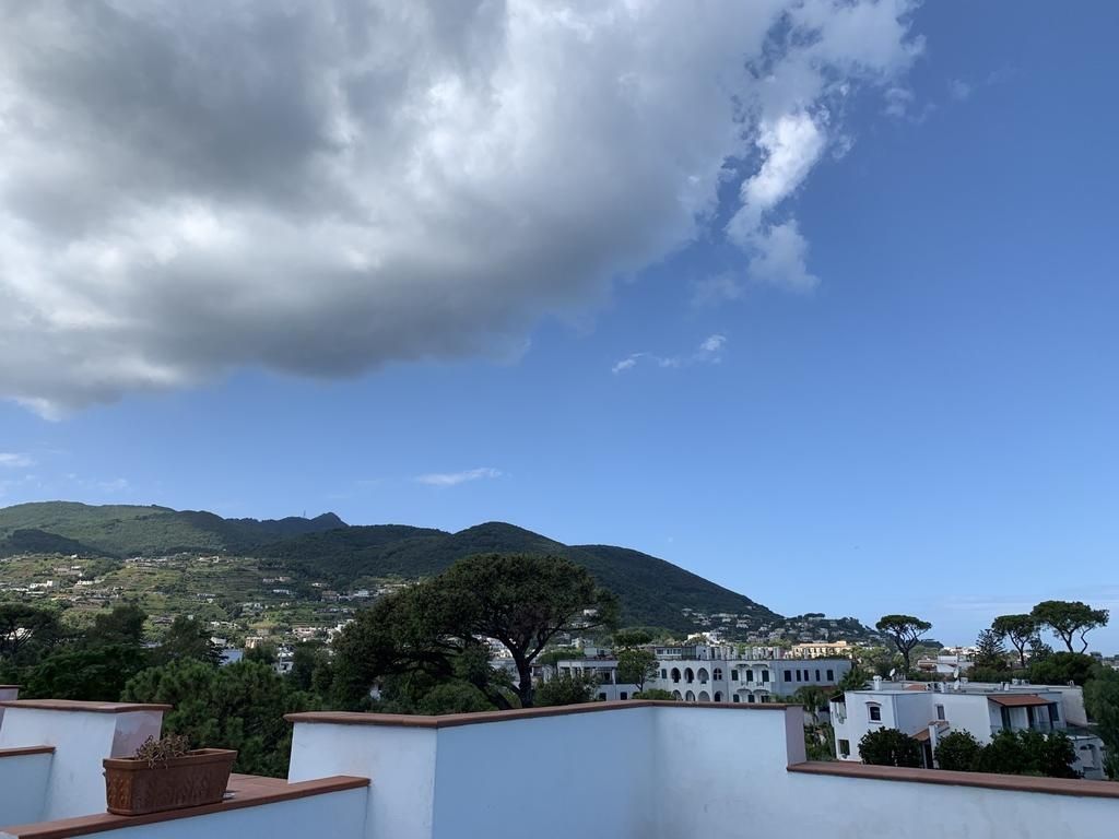 Belvedere Regina