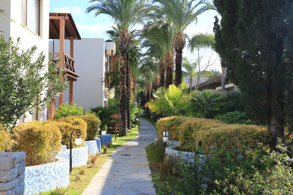The LifeCo Bodrum