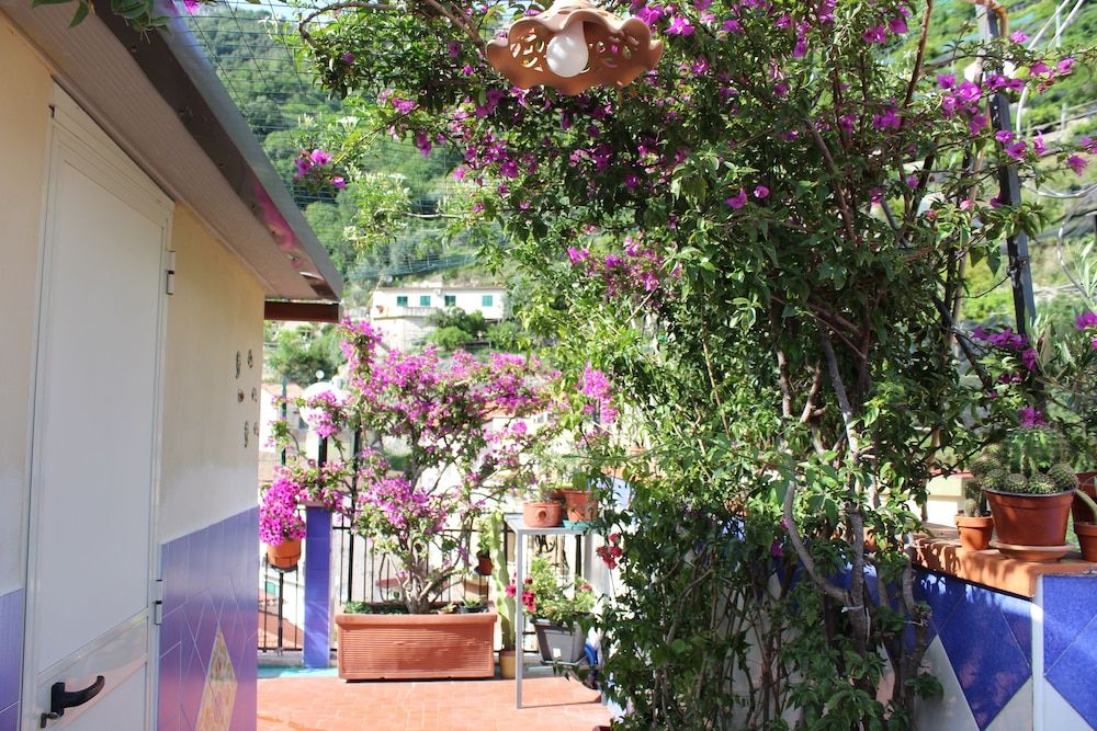 B&B Reginella