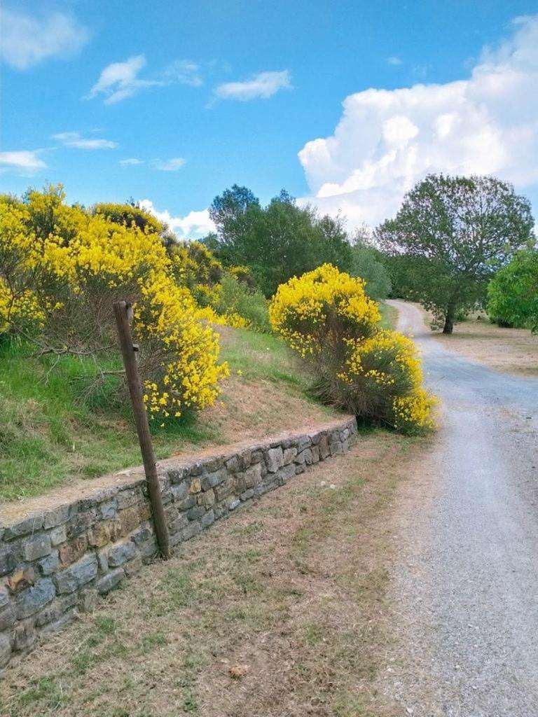 Al Podere Del Nonno Romolo