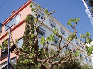 Cesar