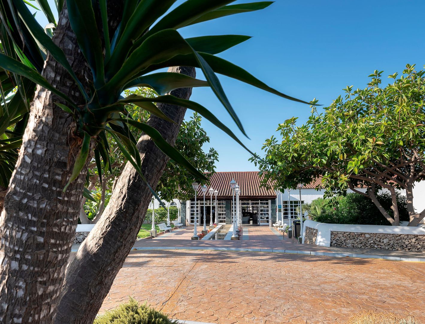SOL Falcó Menorca