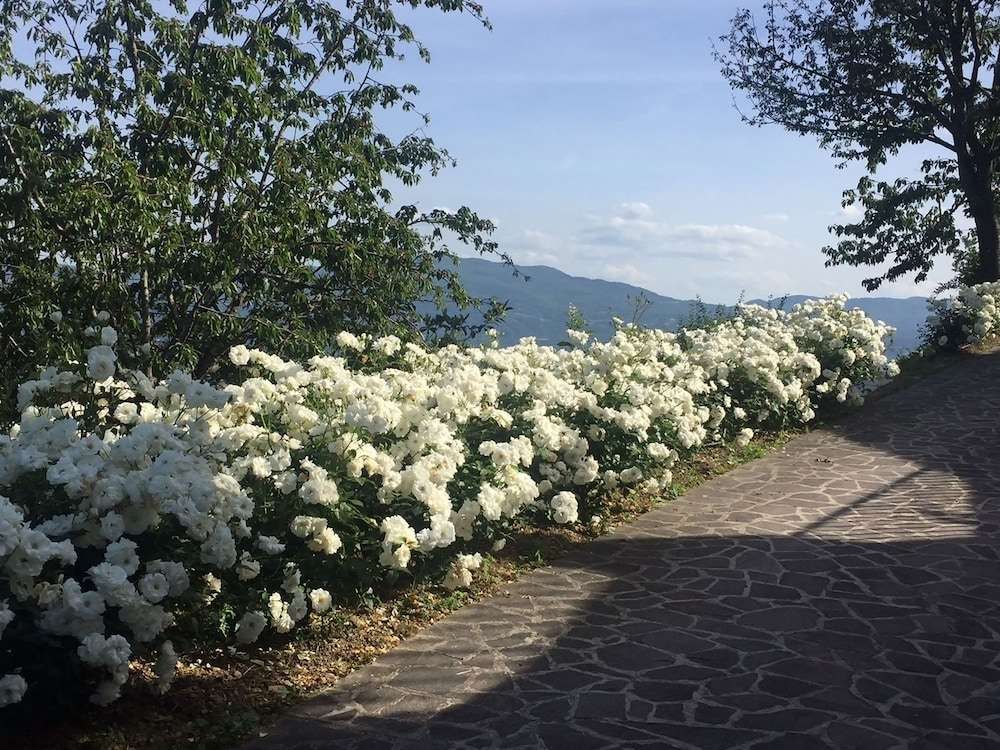 Villette In Mugello