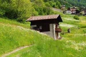 Baita Mas Rabbies Chalet