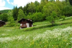 Baita Mas Rabbies Chalet