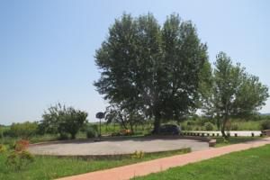 Villa Fiona
