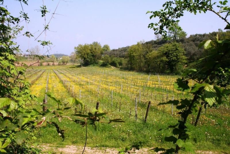 Bio Agriturismo Vojon
