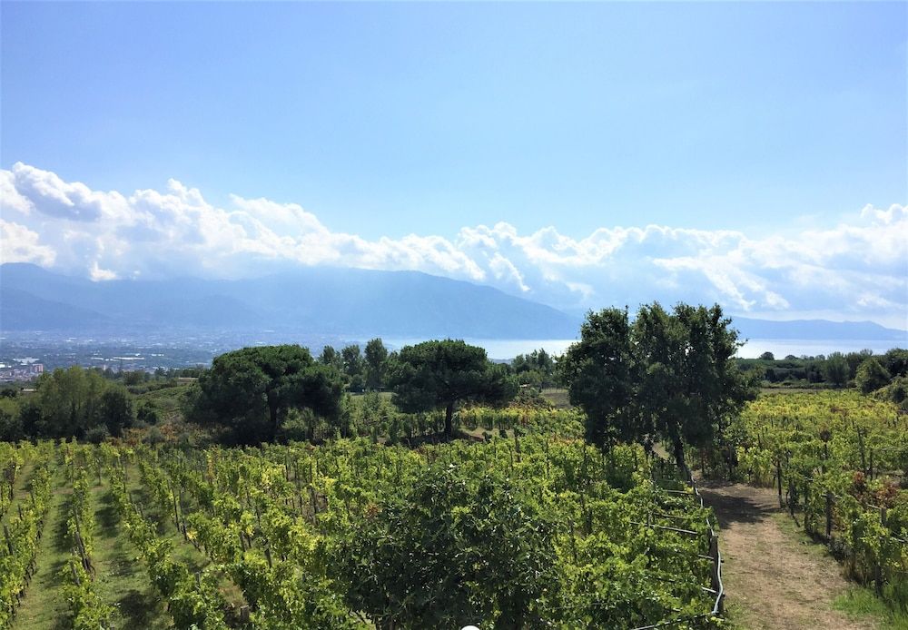 Casale Rendine