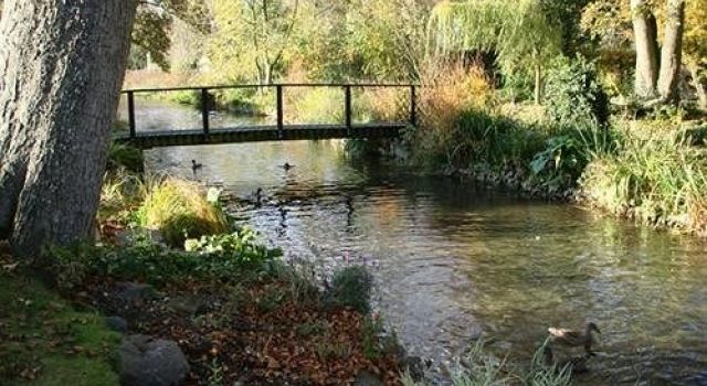 Mallards in Overton Bed & Breakfast