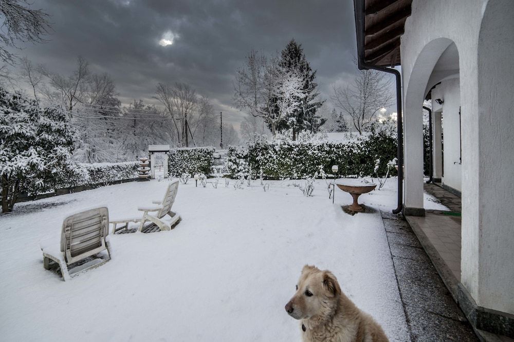 Ritratto Sul Lago