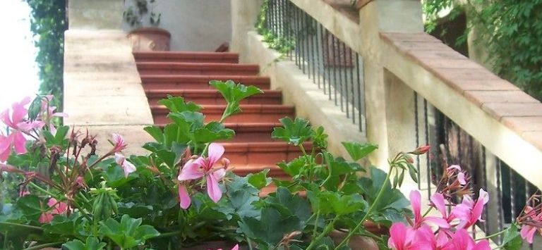 Agriturismo Paradiso