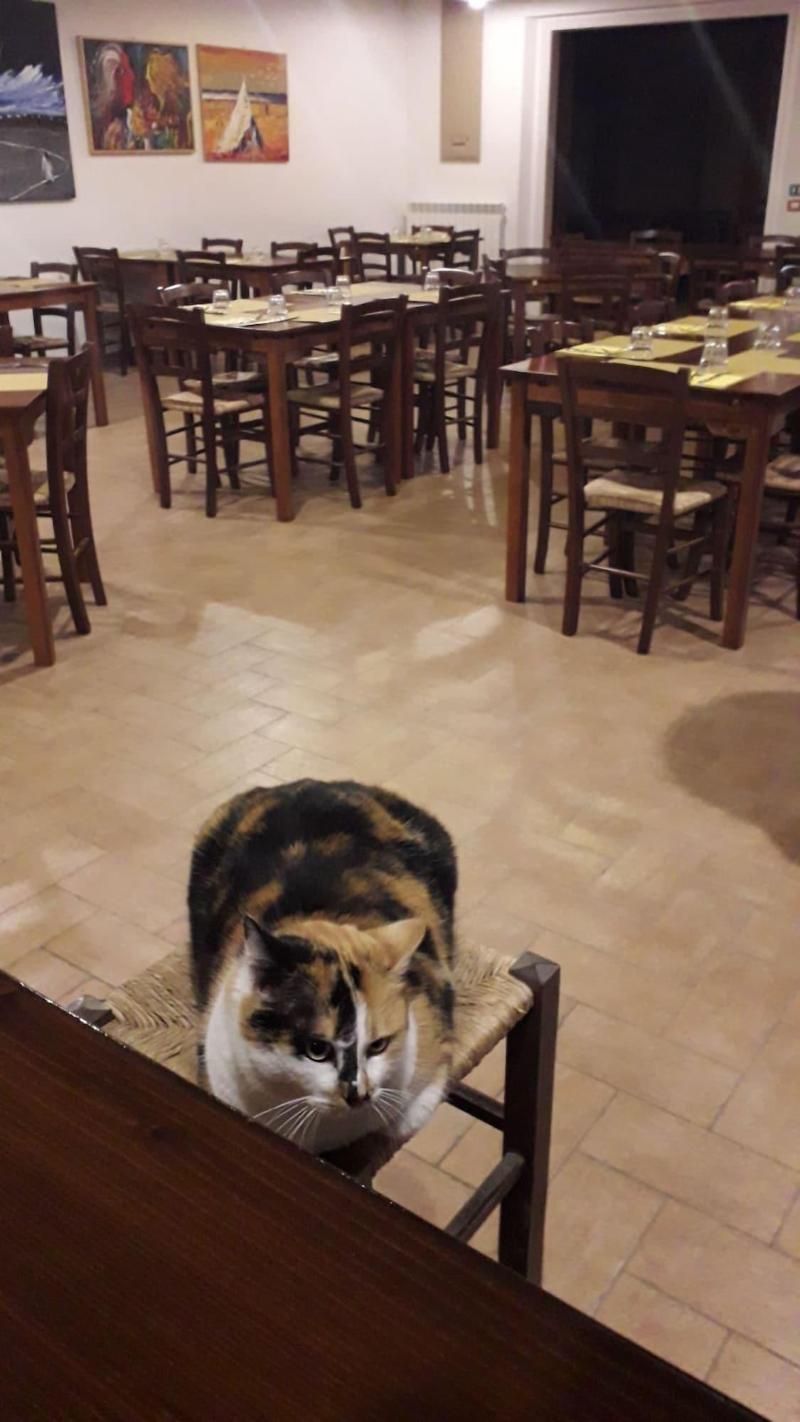 Agriturismo La Vita E Bella