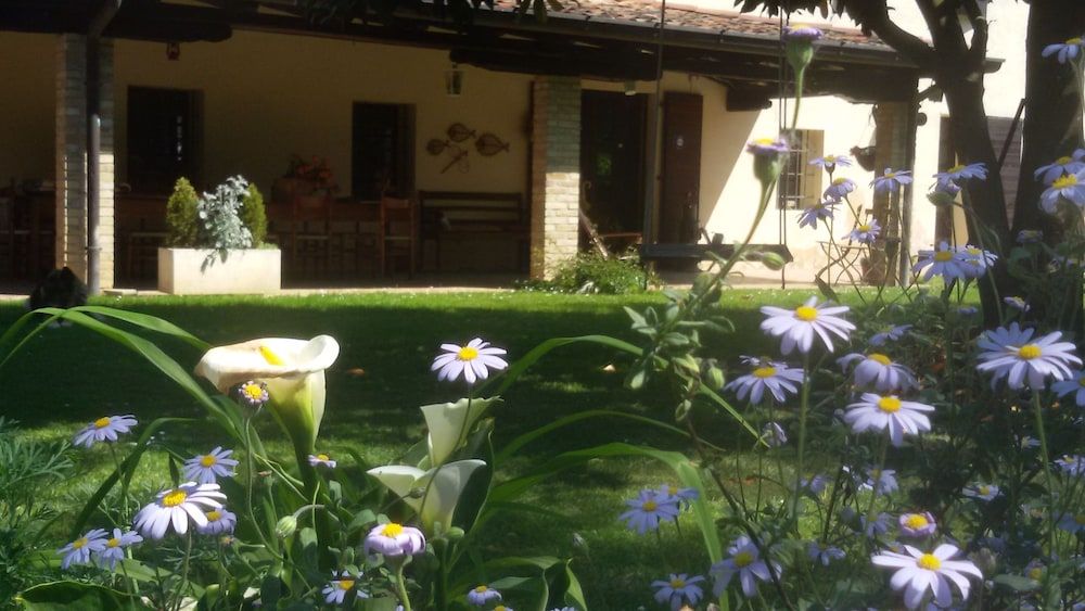 Fiori di Maggio