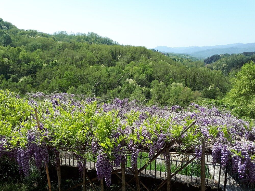 Poggio Delle Rondini