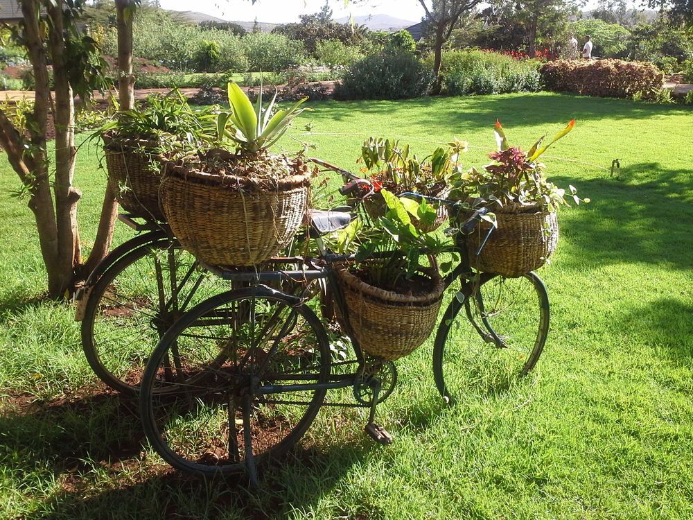 Acacia Farm Lodge