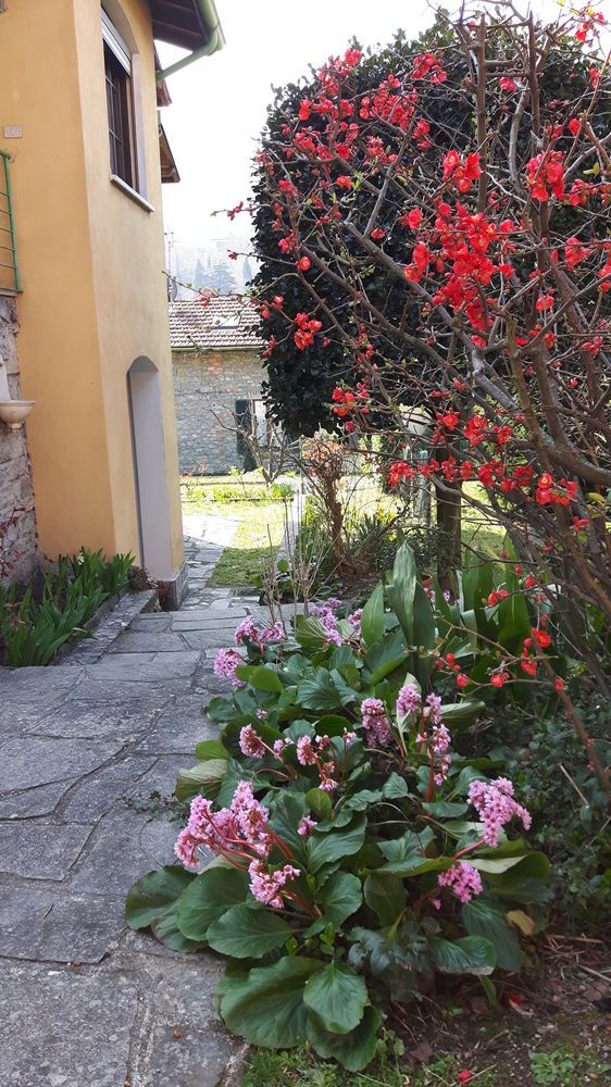Casa Adele Appartamento