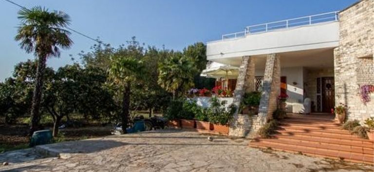 Il Gelso B&B