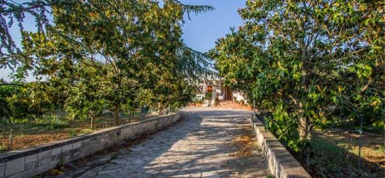 Il Gelso B&B