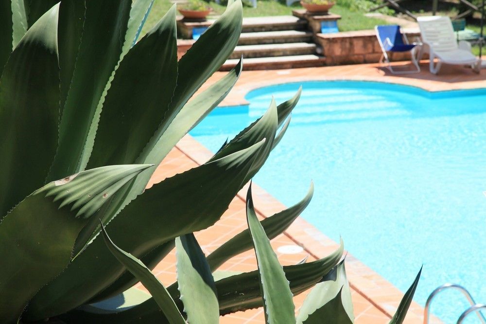 Podere Agrituristico Luchiano