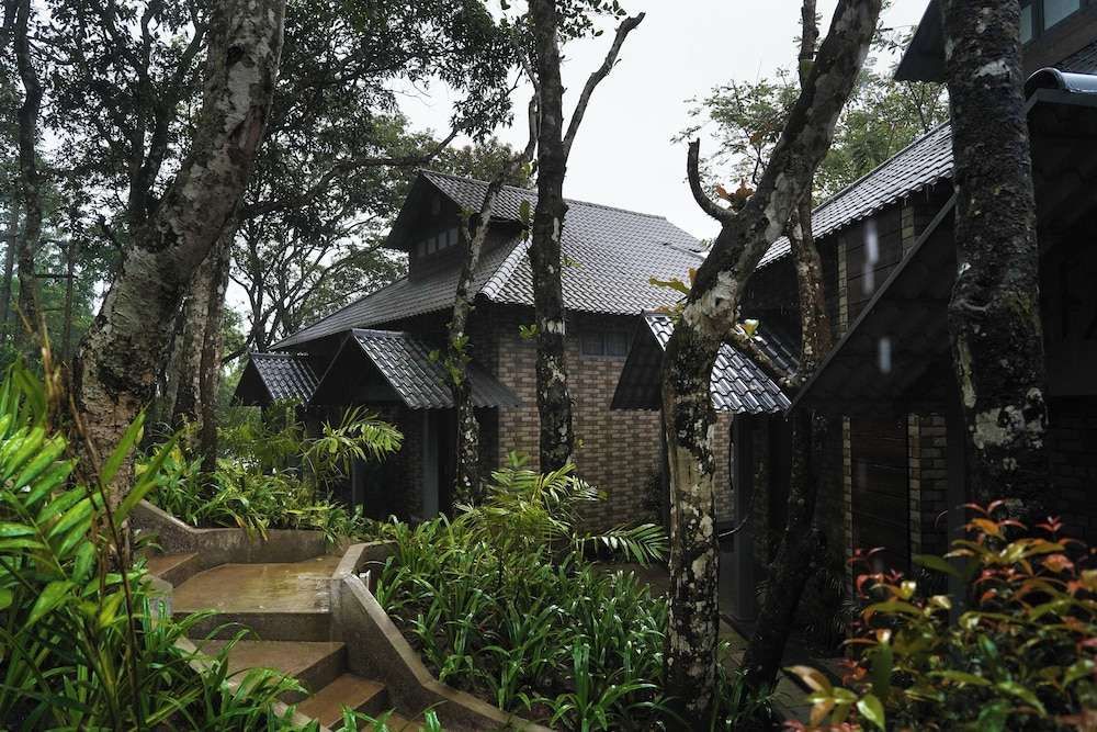 Elephant Passage