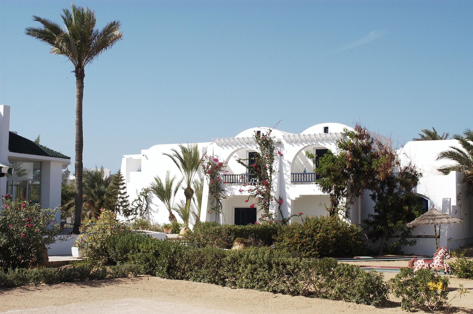 Jasmina Playa