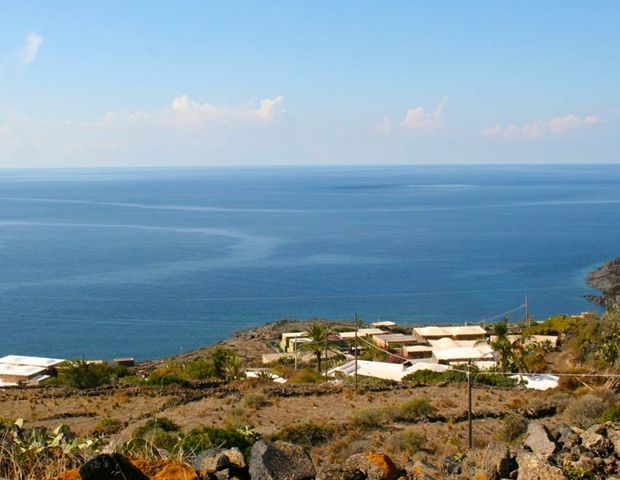 Dammusi Zibibbodoro