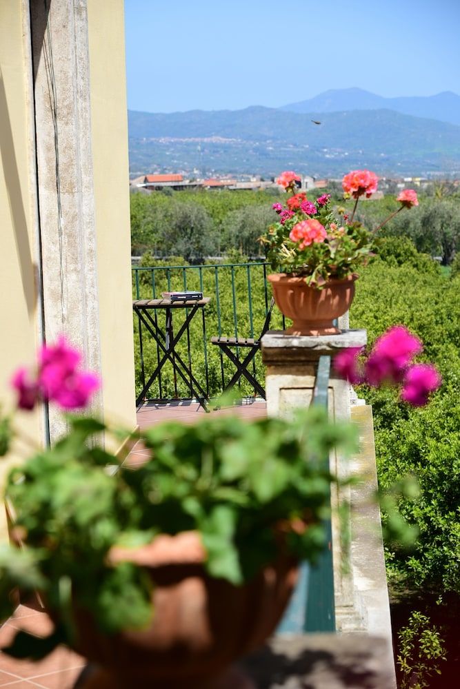 Giardino Arancio