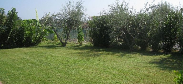 Villa delle Palme