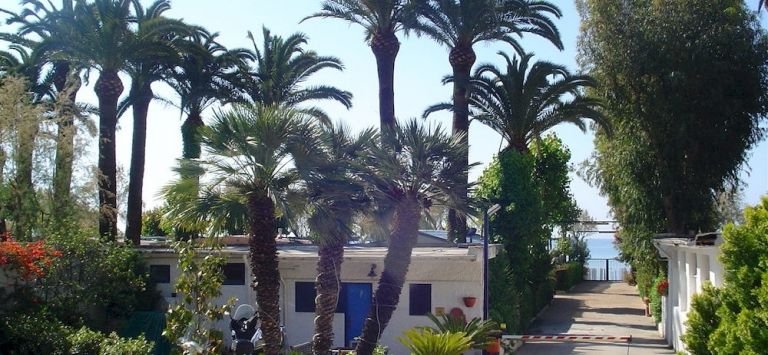 Le Palme Village
