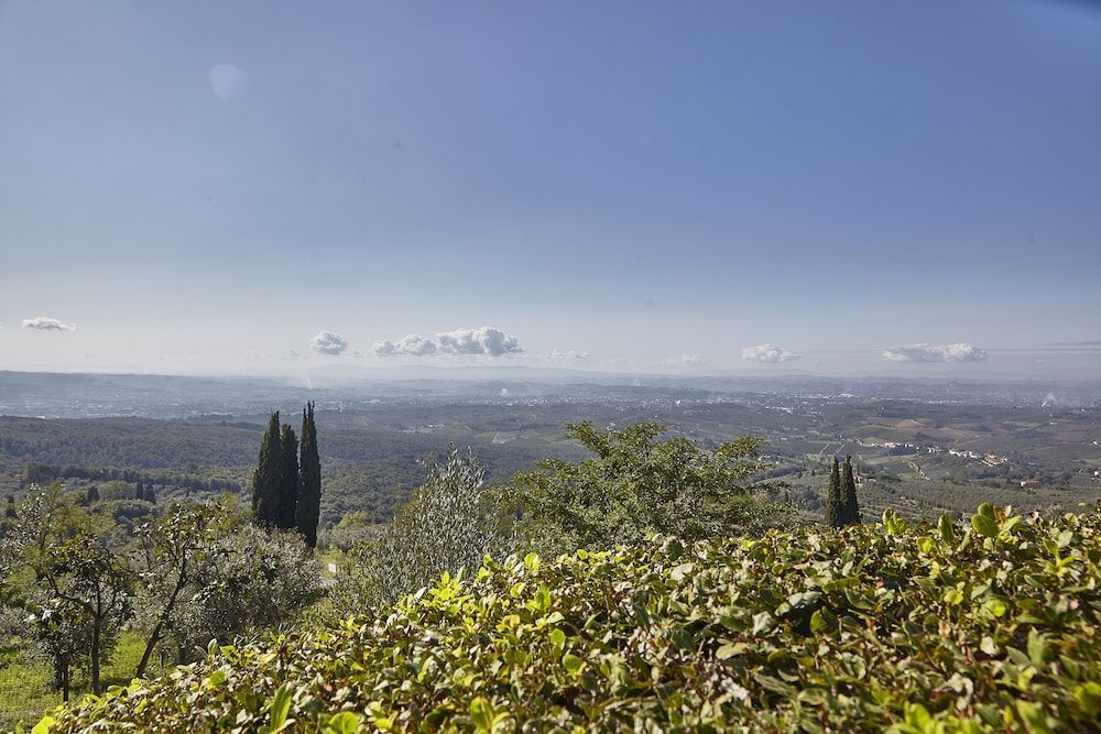 Colle Da Vinci