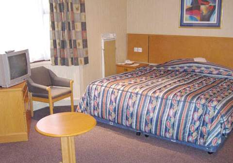 Swallow Springfield