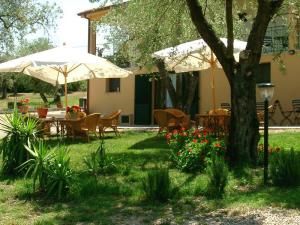 L'olivar