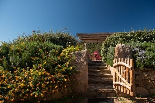 Les Oliviers de Palombaggia