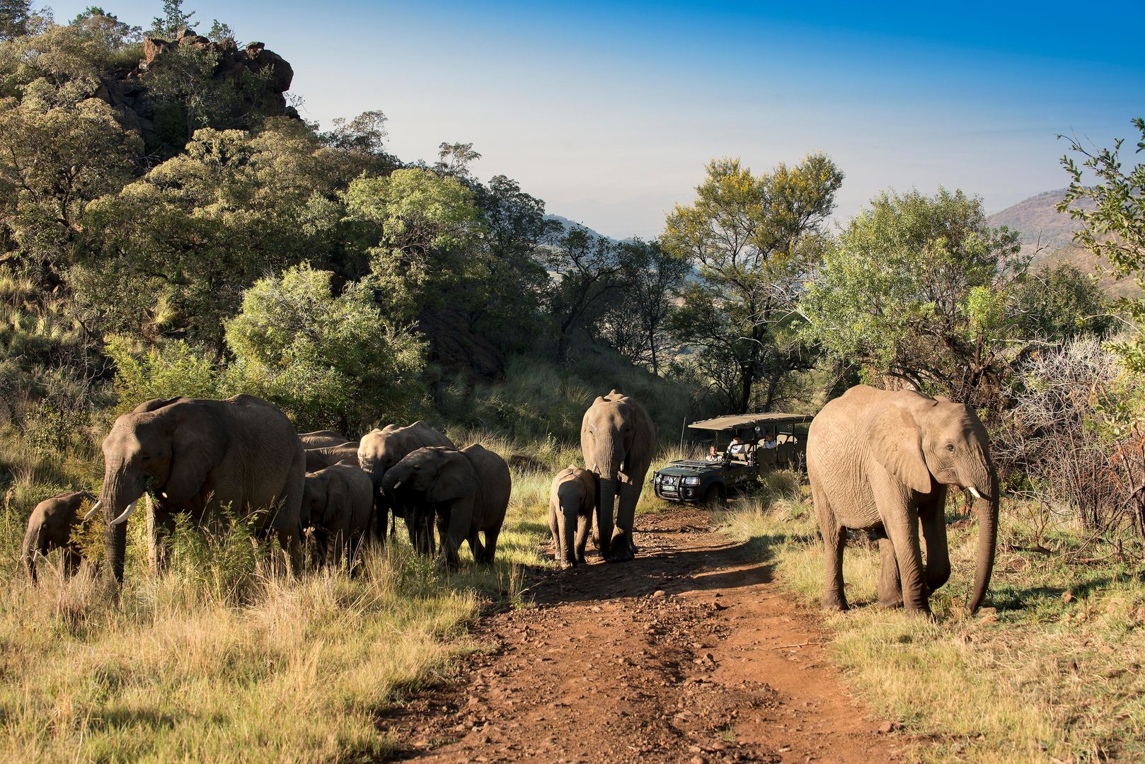 Kwa Maritane Bush Lodge