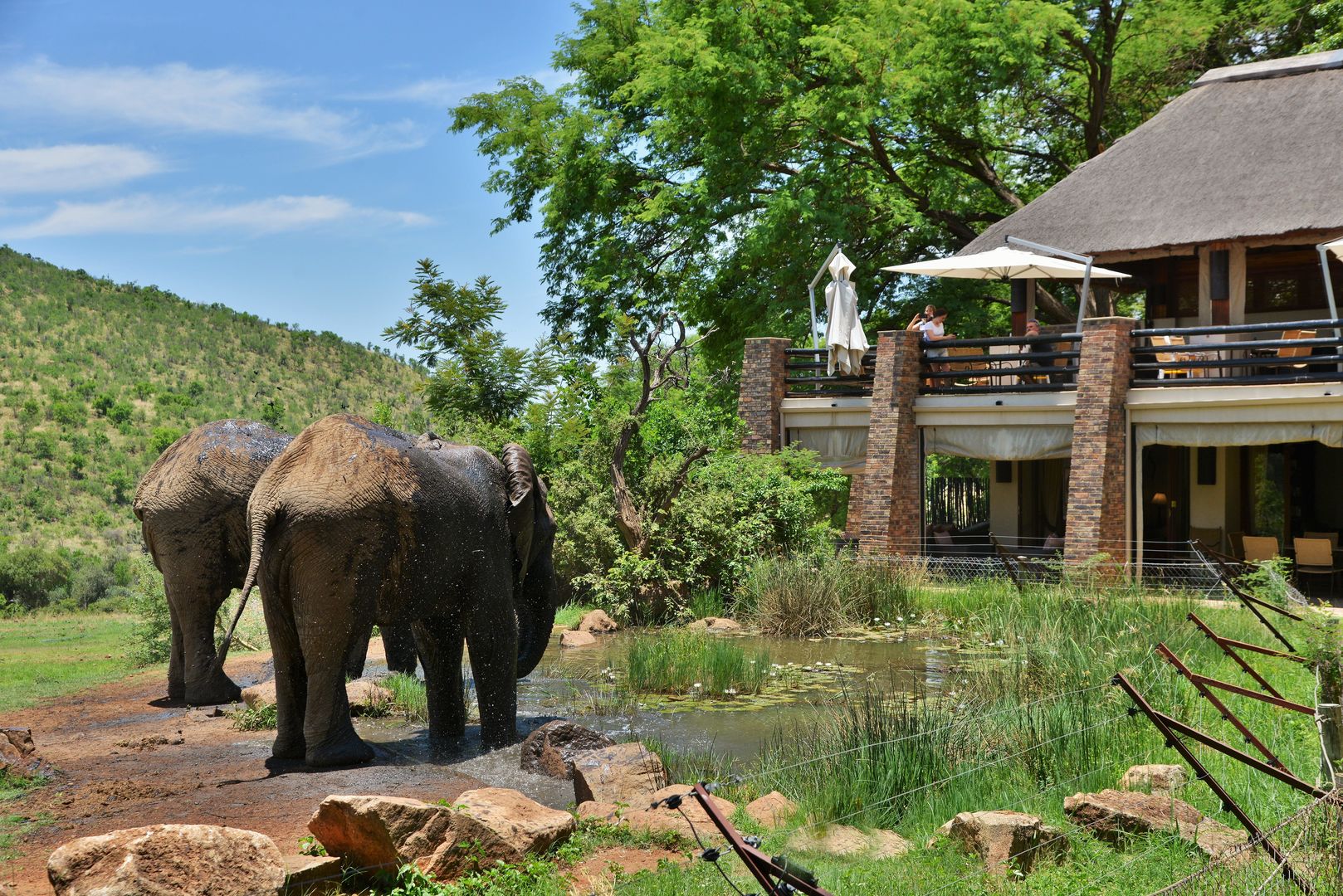 Kwa Maritane Bush Lodge