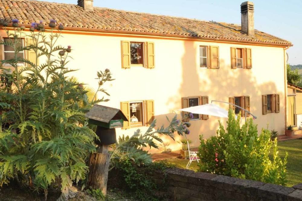 B&B Glicine