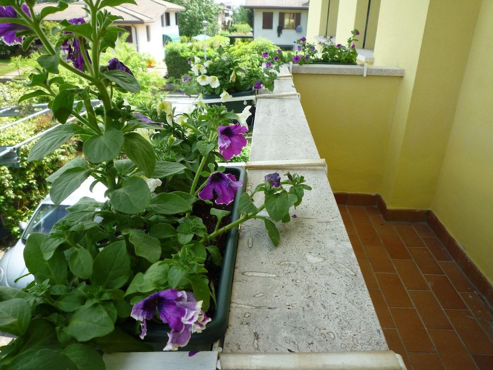 Dimora Di Bosco Room & Breakfast