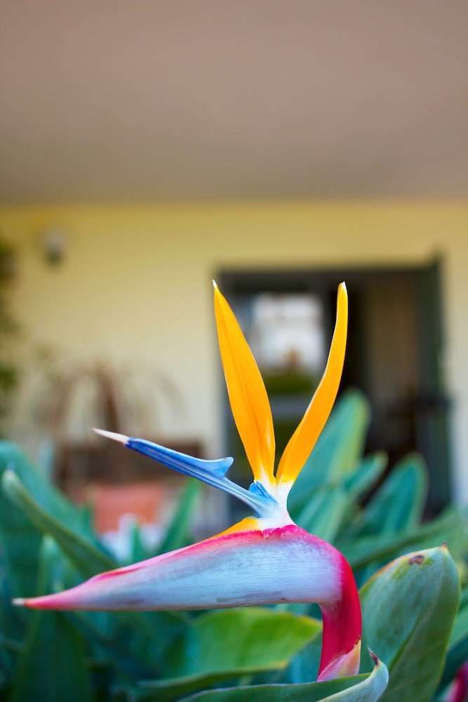 Rivamare Residence