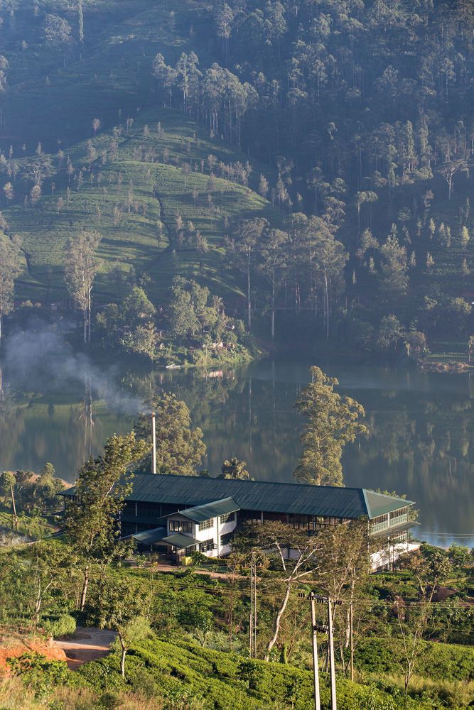 Ceylon Tea Trails