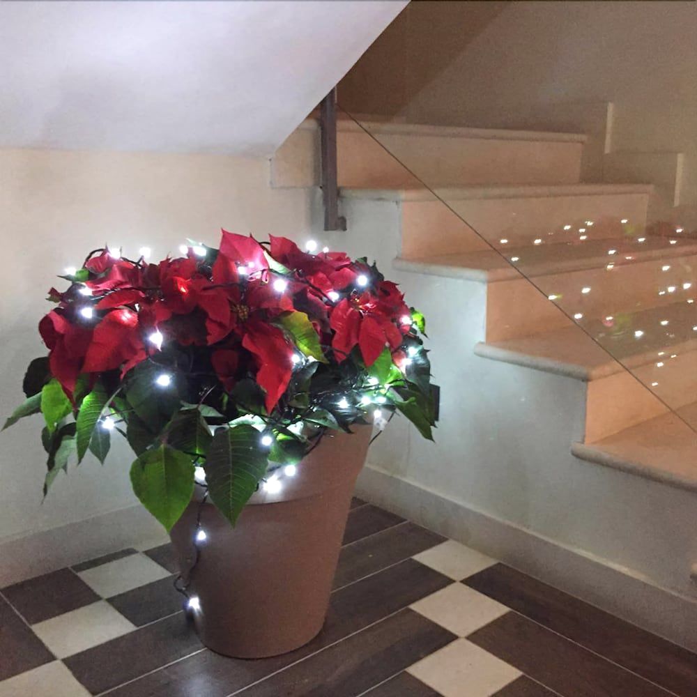 Guesthouse San Domenico - Augusta