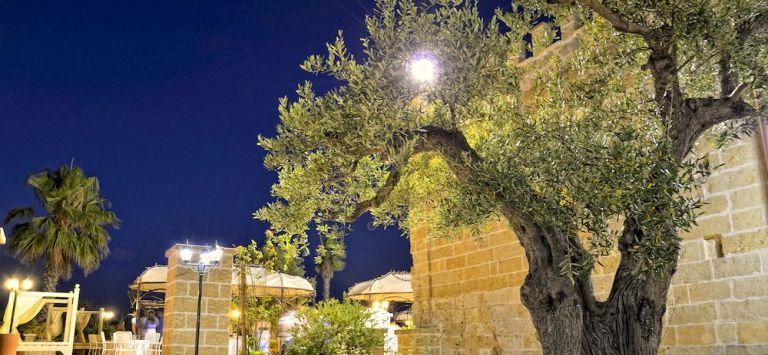 Masseria Tenuta Quintino