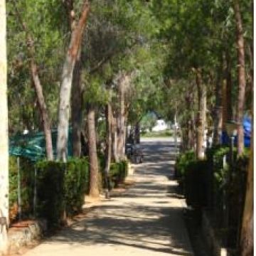 Camping Lacona