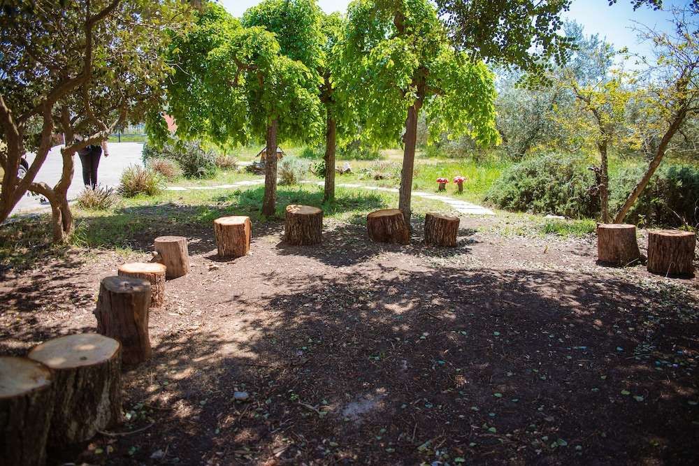 Azienda Agricola Biologica Piccapane