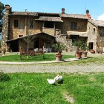 Le Roghete