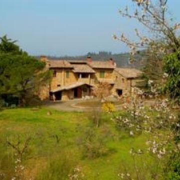 Le Roghete