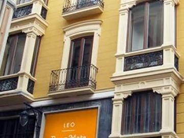 Room Mate Leo
